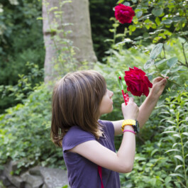 Kindergarten-Sabrina Richmann Fotografie 